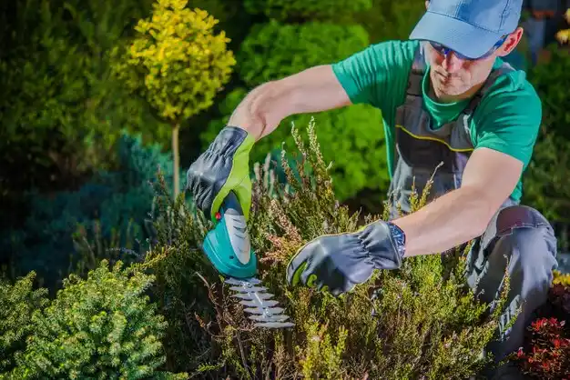 landscaping services Austinburg